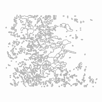 Export Image
